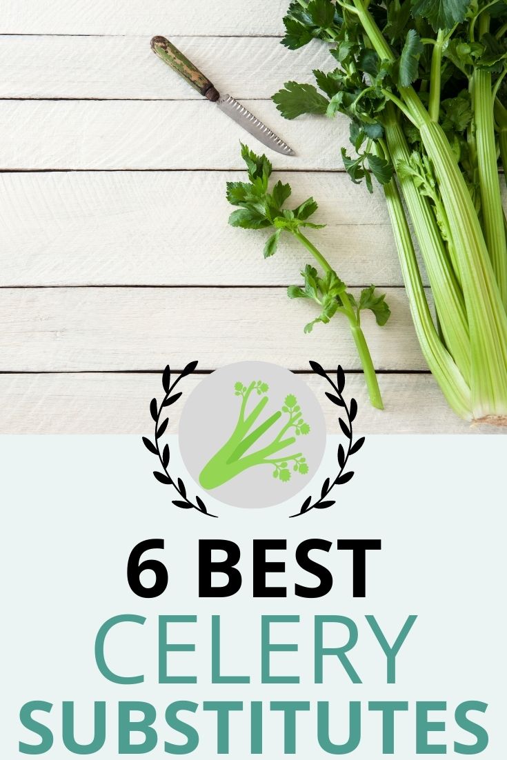 Best Celery Substitutes