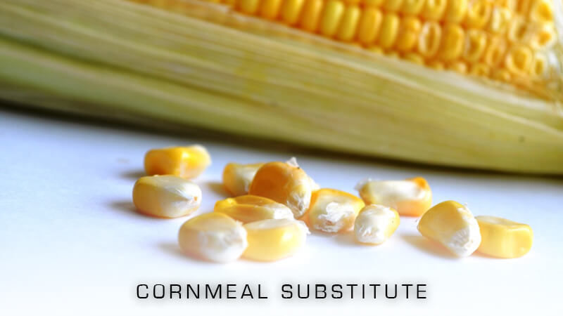 Cornmeal Substitutes to Try