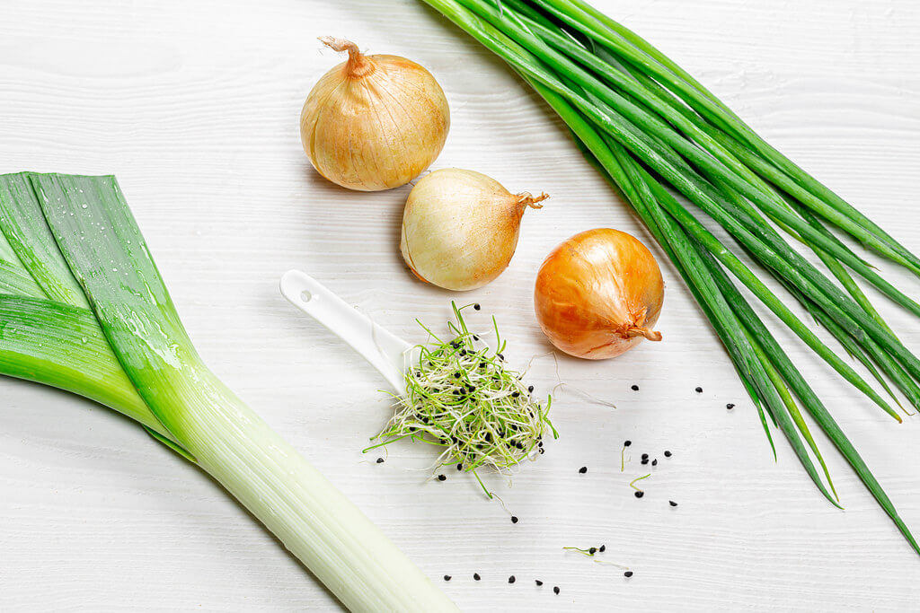 Green Onions as Alternative to Chives