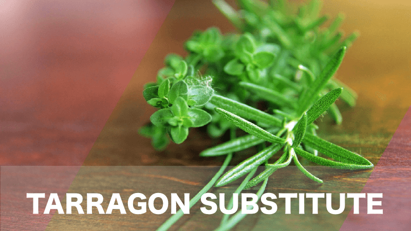 Tarragon Substitute