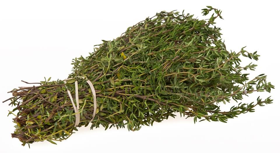Thyme as Alternative to Capers