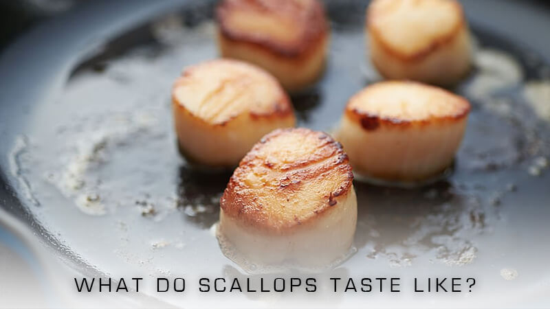 How do scallops taste