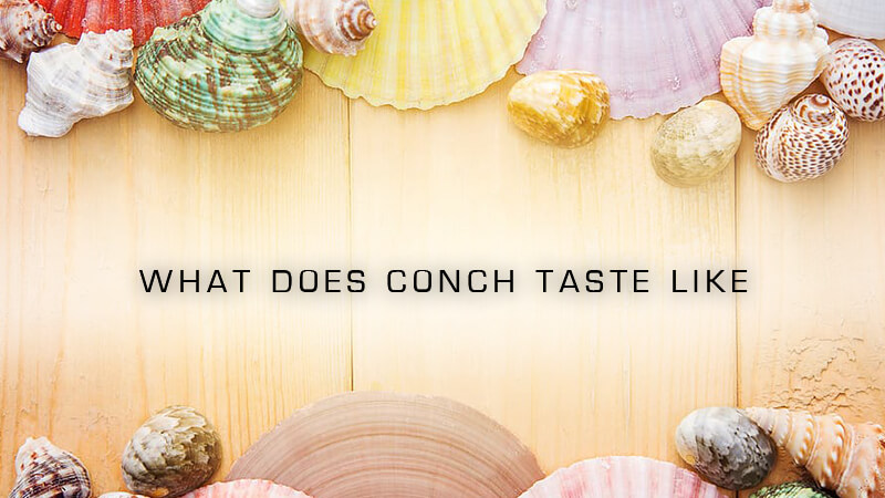 What Does Conch Taste Like? You Might Be Surprised!