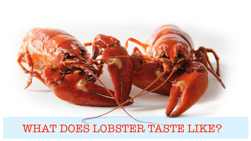 What does lobster taste like?