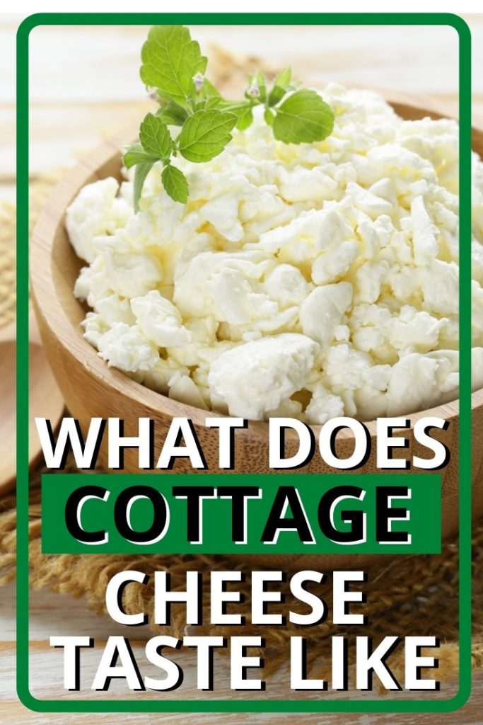 What Does Cottage Cheese Taste Like? (Updated 2024)