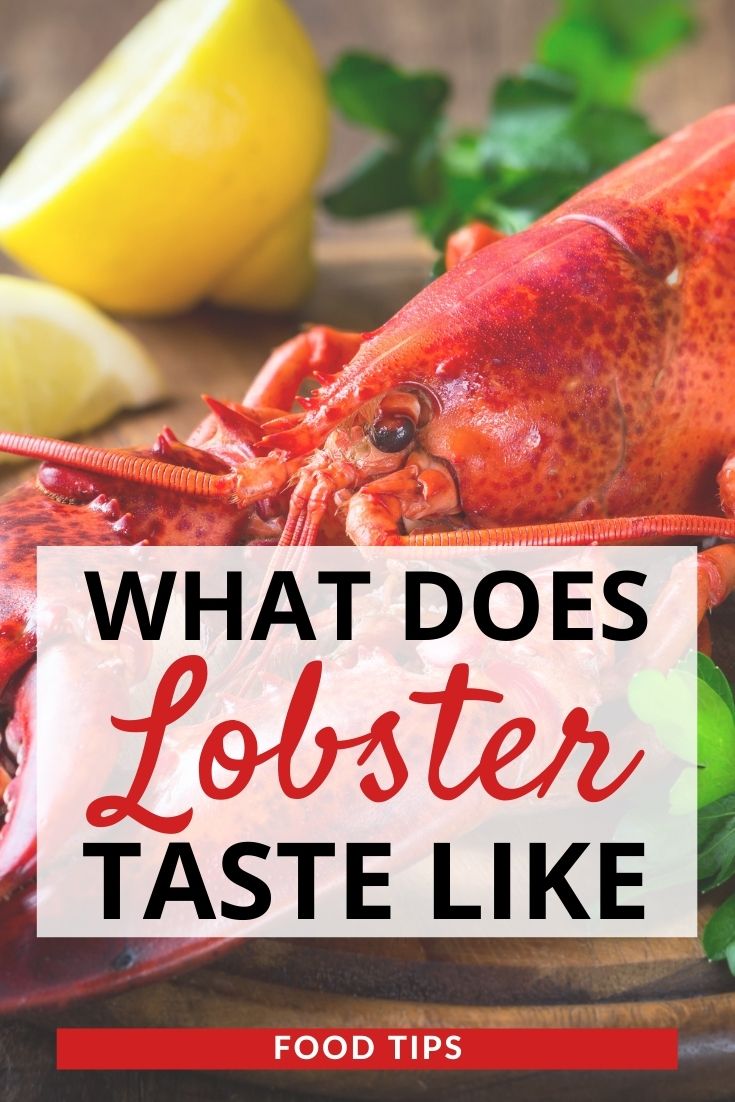 What Does Lobster Taste Like? (Updated 2024)