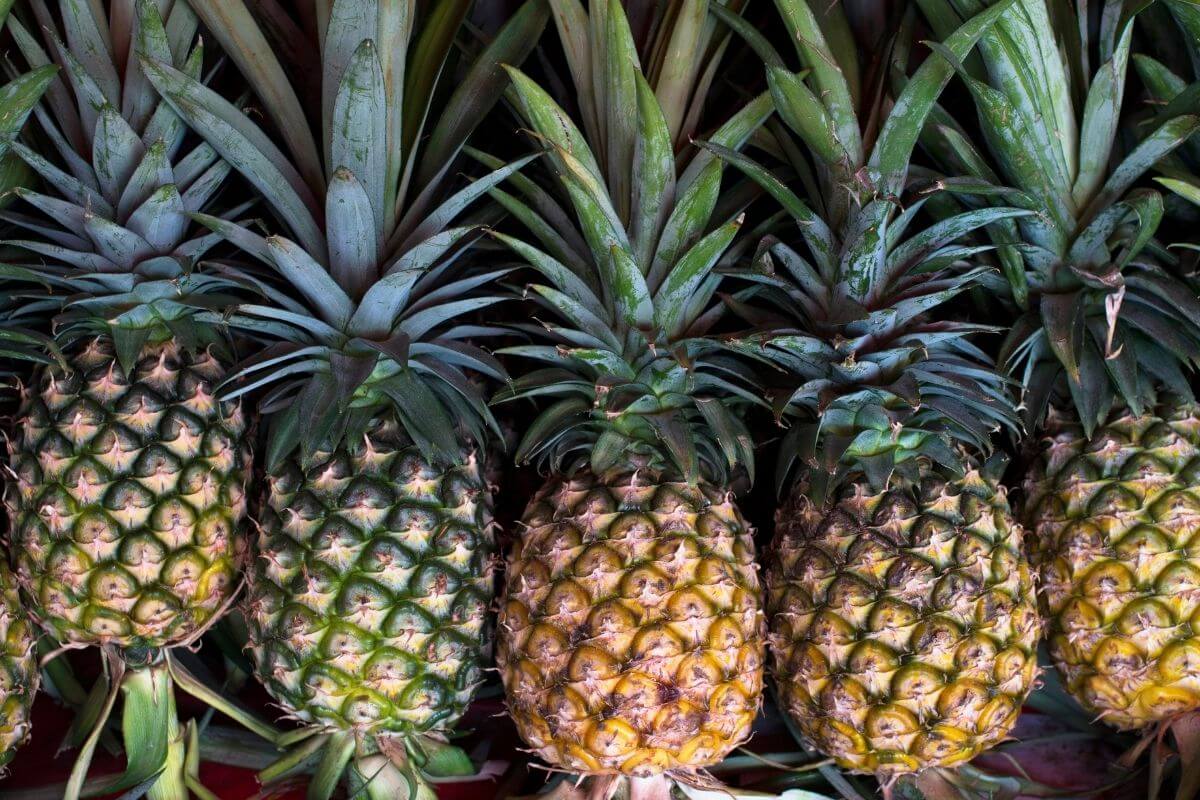 Best Ways To Ripen A Pineapple Updated