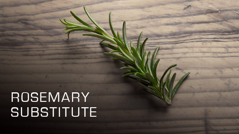 Rosemary Substitute