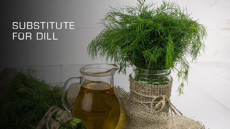 Dill Substitutes to Try