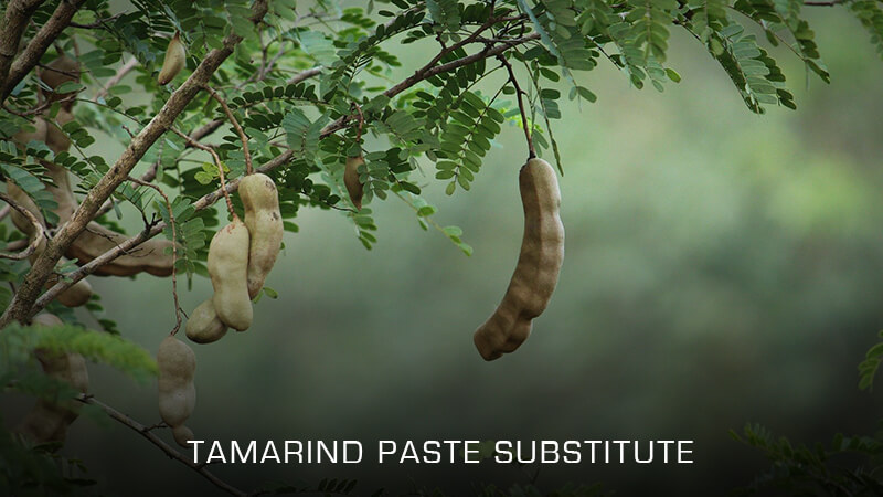 storing tamarind paste