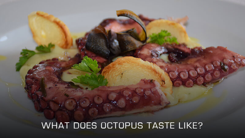 What does Octopus taste like?