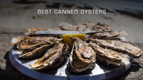 Top 5 Best Canned Oysters to Buy for Your Recipe - Recipe Marker