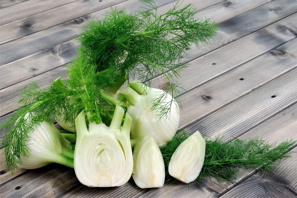 Top 5 Substitutes For Dill In Your Recipes Recipe Marker