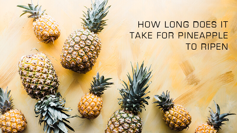 How long does it take for a Pineapple to Ripen