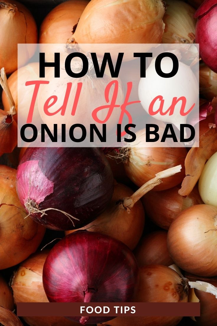 Learn How To Tell If An Onion Is Bad With These Simple Tips