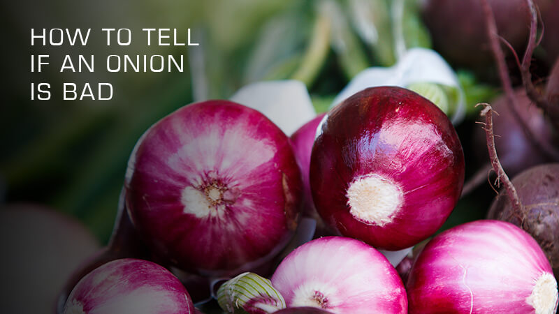 How to tell if an onion is bad