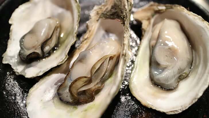 are smoked oysters safe for dogs