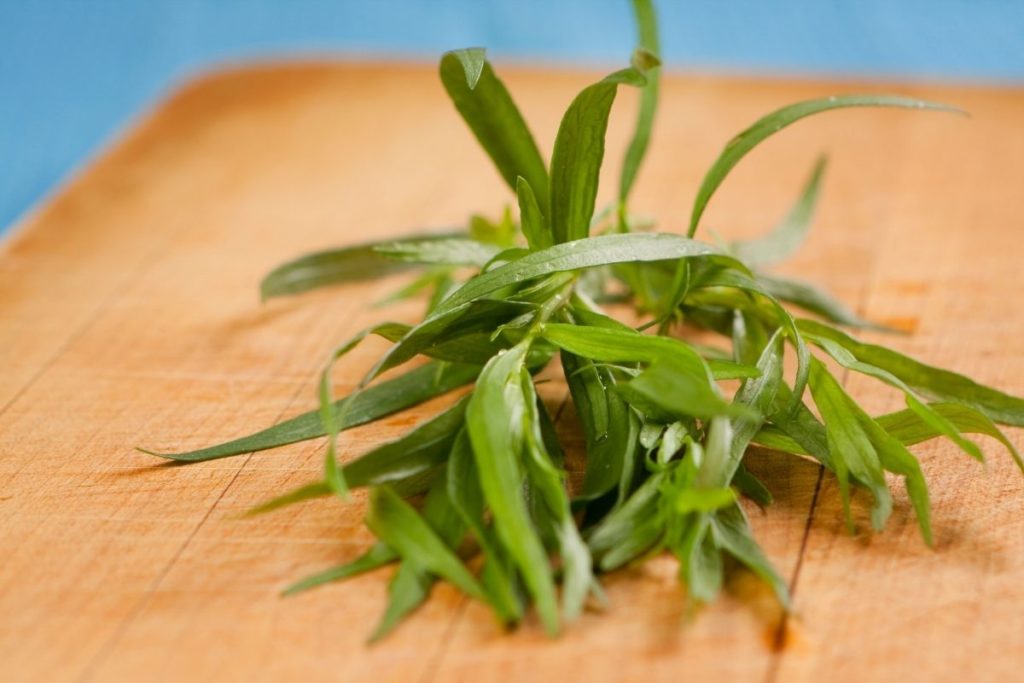 Tarragon