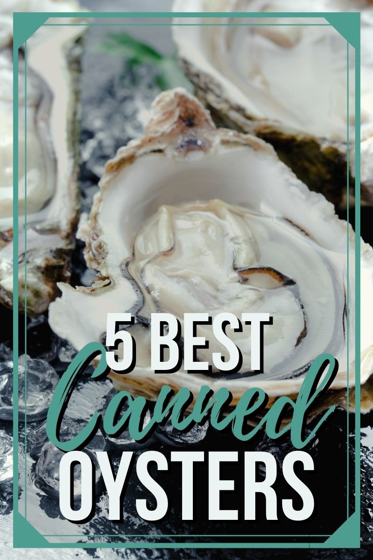 best canned oysters