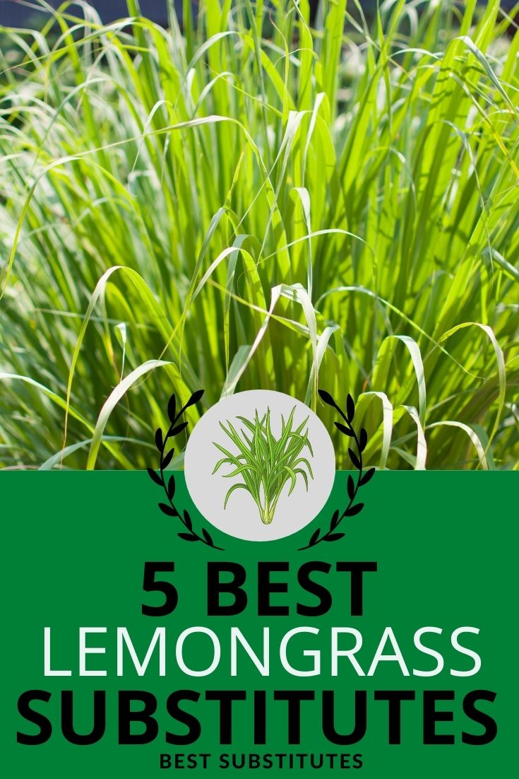 best lemongrass substitutes