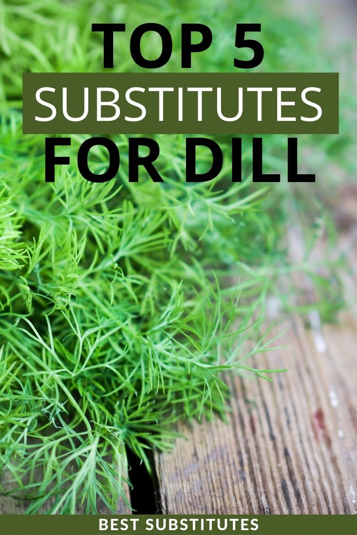 dill and thyme recipes