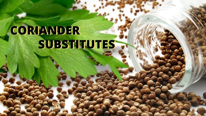 Best-Coriander-Substitutes