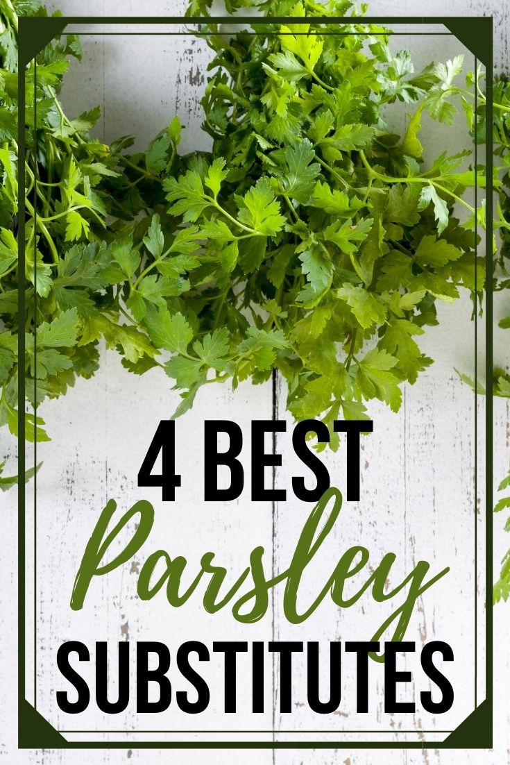 Best substitutes for parsley