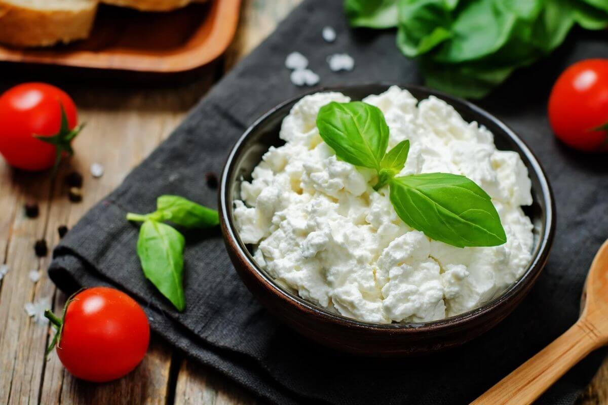 is ricotta or cottage cheese better for you