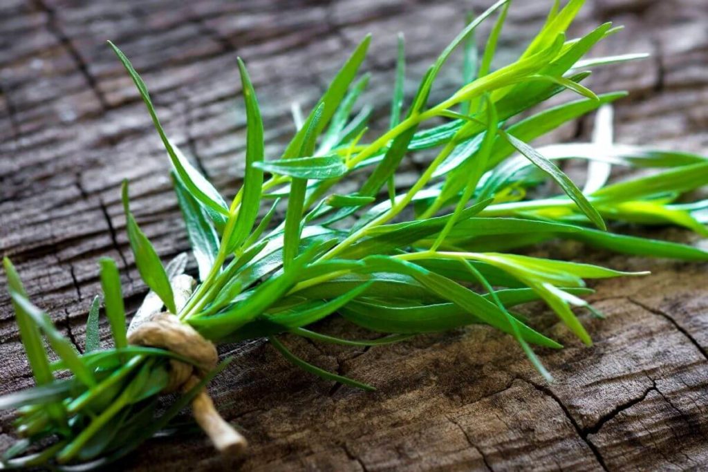 tarragon