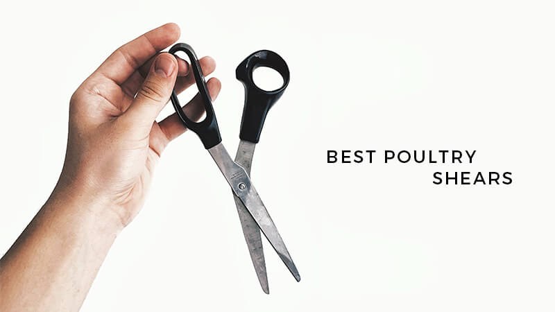 best poultry shears