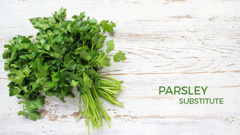 parsley substitutes