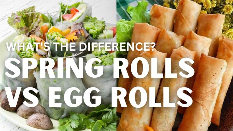 spring roll vs egg rolls - whats the difference