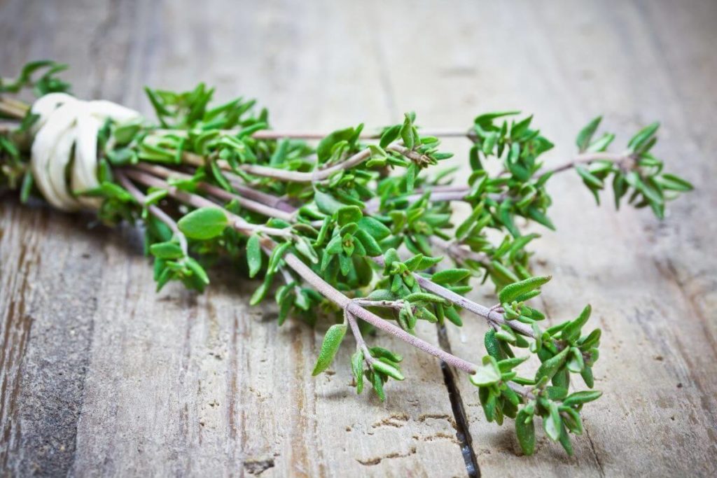 thyme