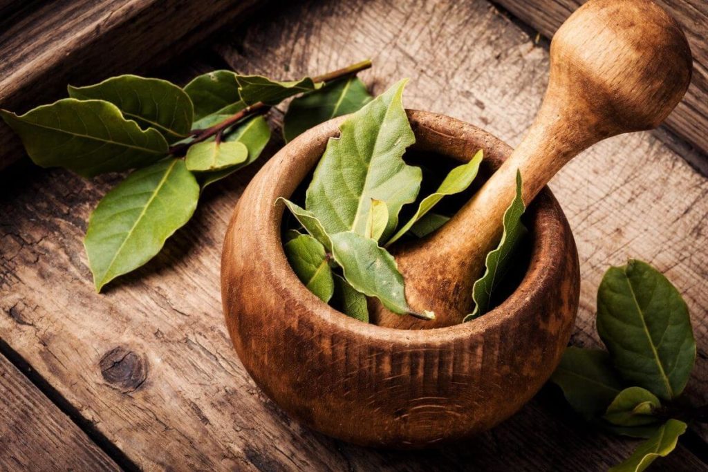 Bay Leaf Foods That Start with B