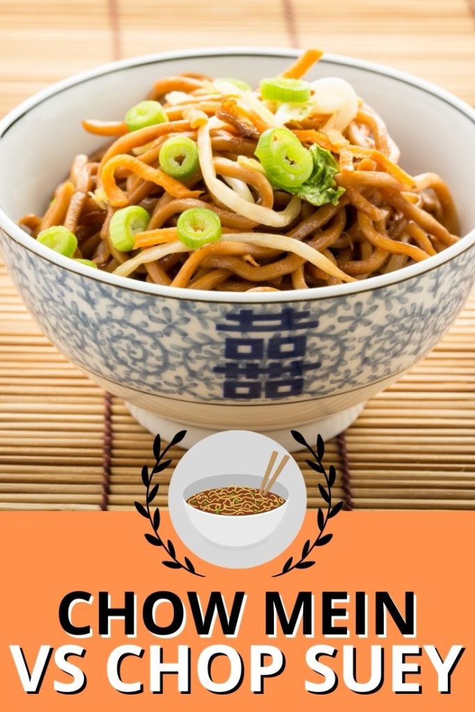 Chow Mein Vs Chop Suey What Is The Difference Updated 2024   Chow Mein Vs Chop Suey 1 683x1024 