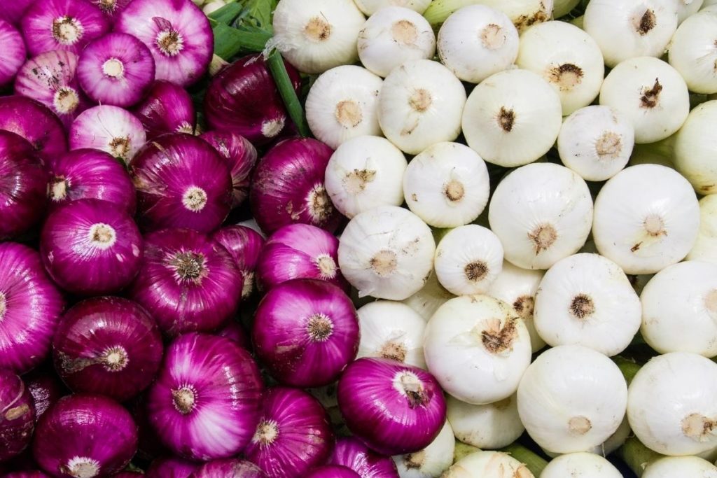 Red and White Onions
