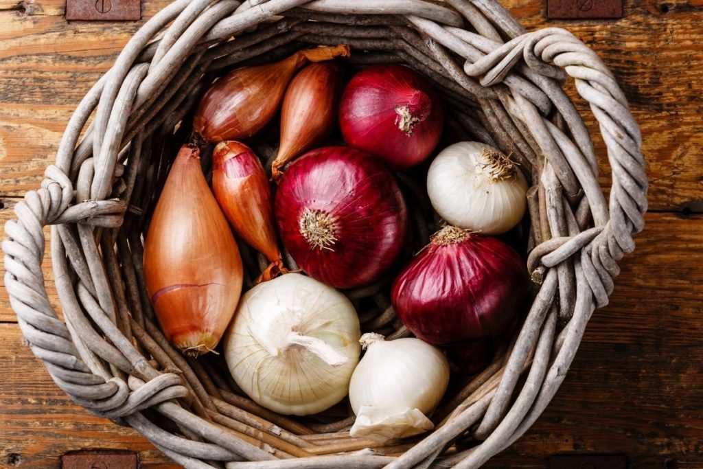 Substitutes for Shallots