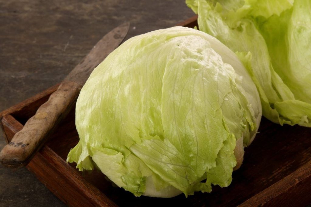 Iceberg Lettuce 