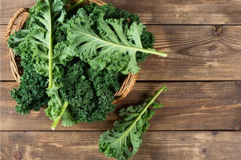 Kale - Foods That Start With K