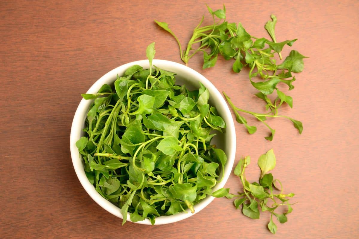 Watercress in a bowl - foods that start with the letter W