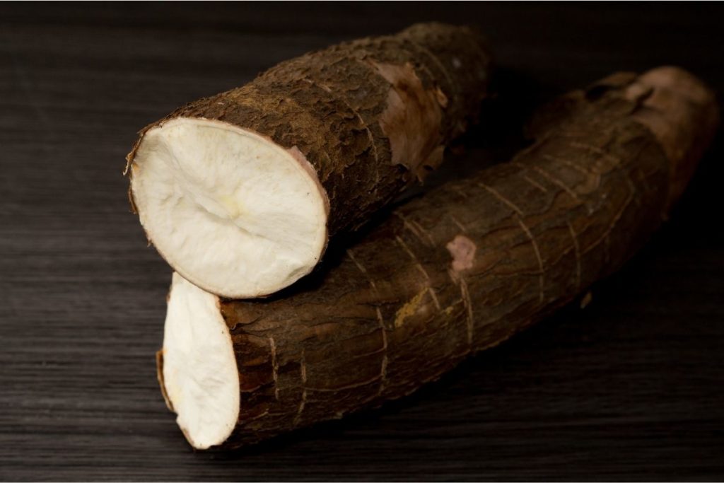 Yuca - Foods that start with Y