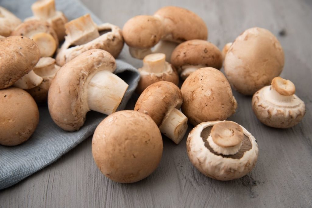What are Mushrooms