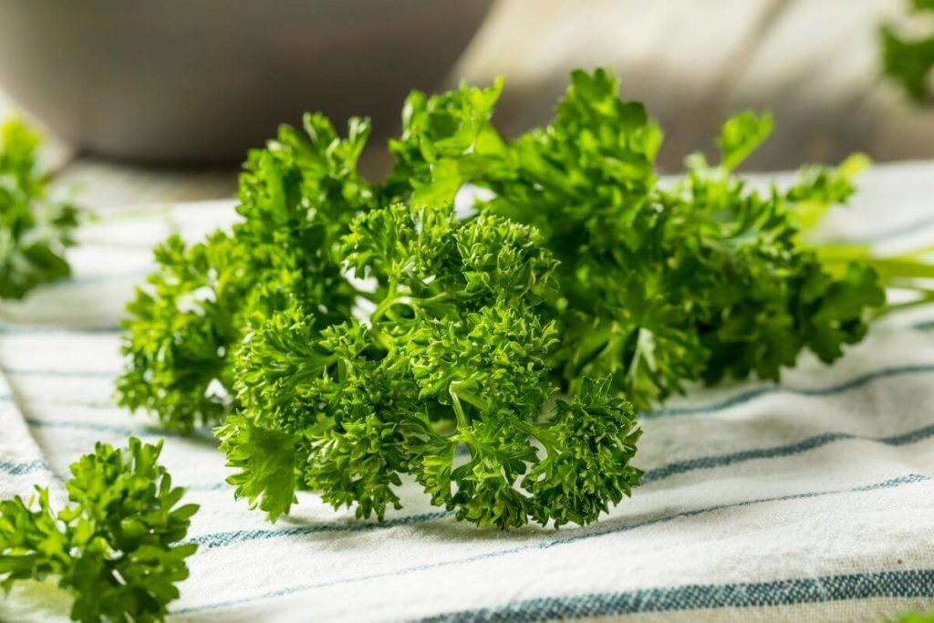 Parsley