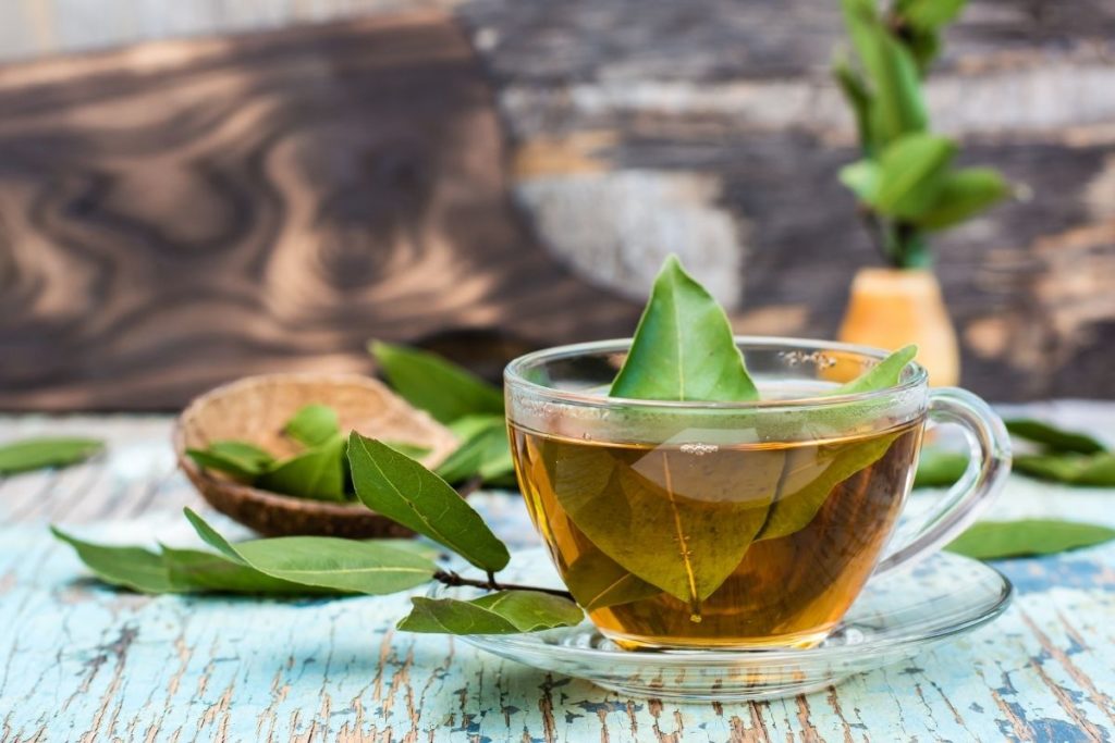 Herbal Bay Leaf Tea Recipe - Recipe Marker
