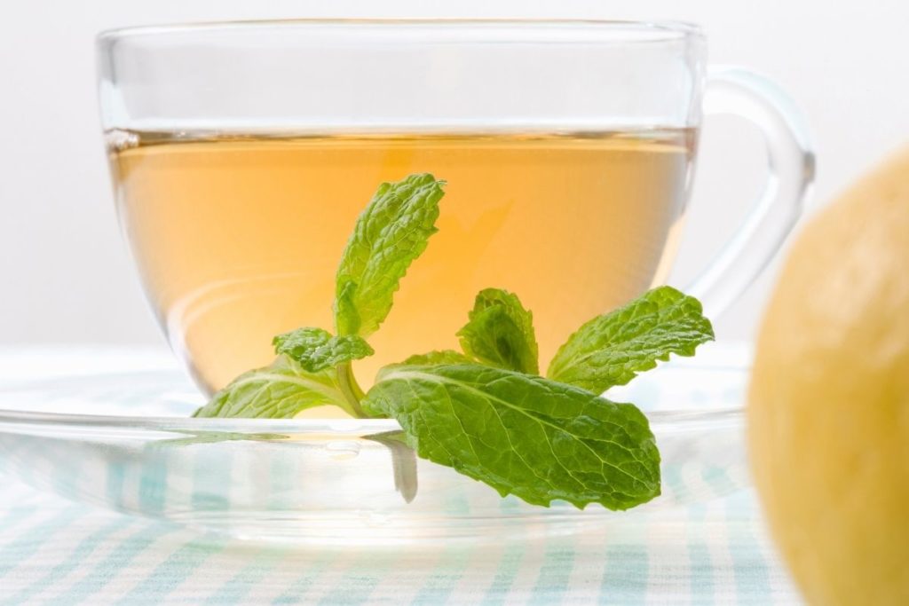 Fresh Spearmint Tea Recipe