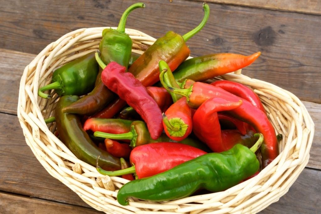 Anaheim Peppers