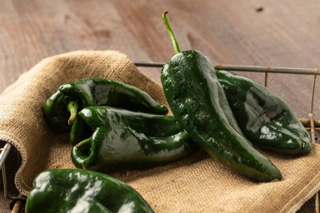 Poblano Peppers - Substitutes for Green Pepper