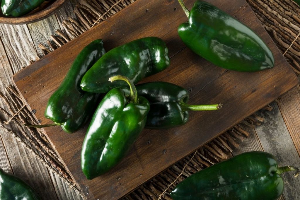 Substitutes For Poblano Peppers