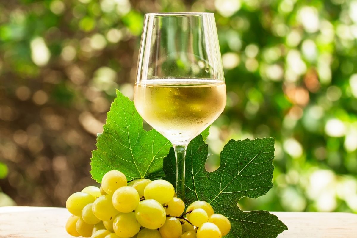 Vino bianco