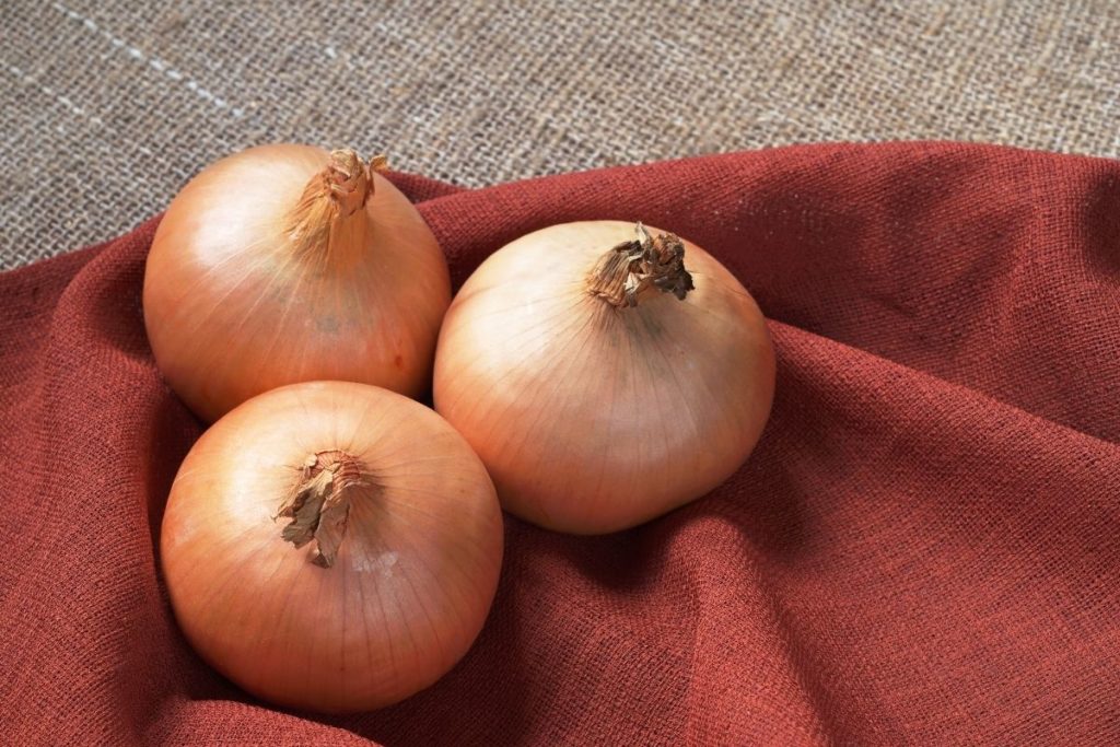 Whole Onion - Onion Powder Substitute